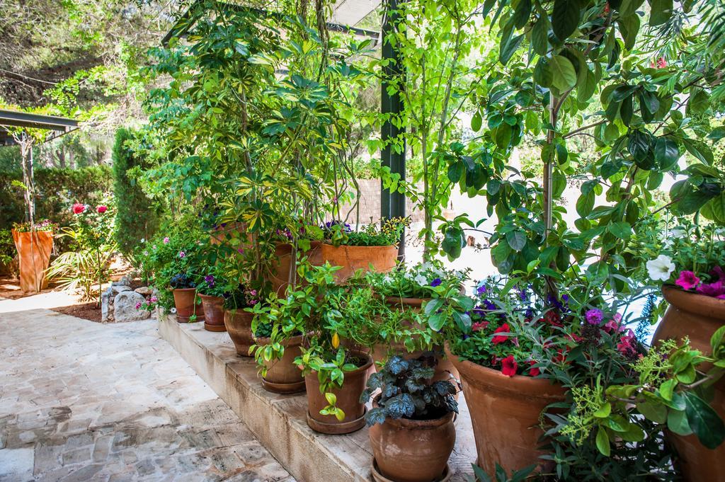 Apartamento Minigolf Cala Murada (Mallorca)